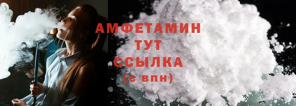 прущие грибы Абинск