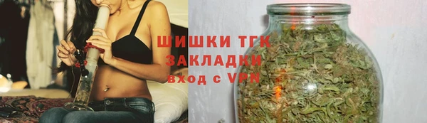 прущие грибы Абинск