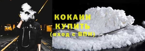прущие грибы Абинск