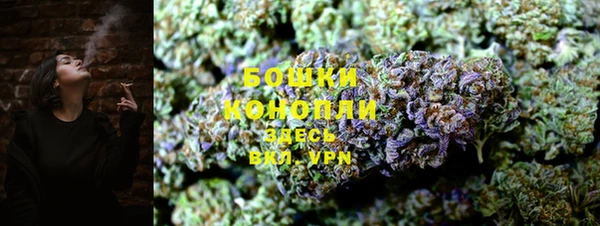 прущие грибы Абинск