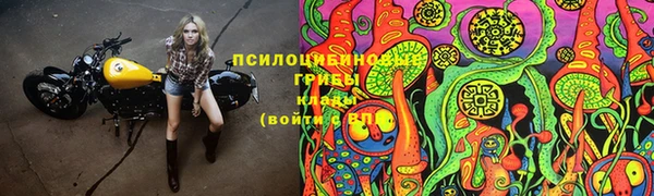 марихуана Абаза