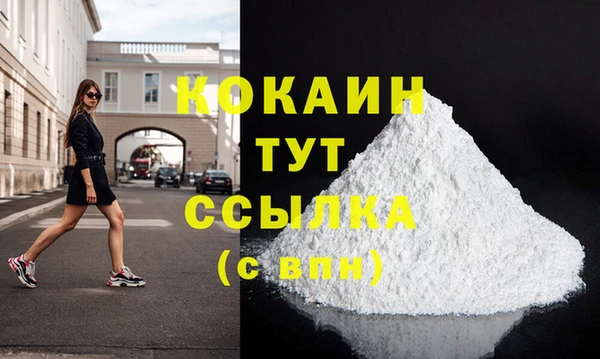 прущие грибы Абинск