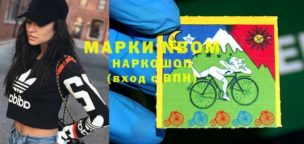 прущие грибы Абинск