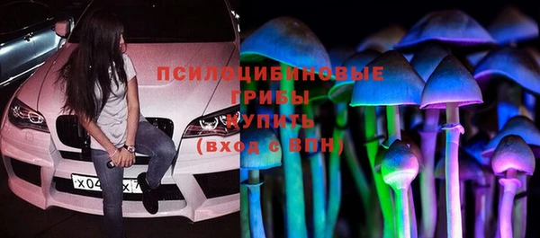 прущие грибы Абинск