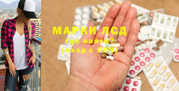 прущие грибы Абинск