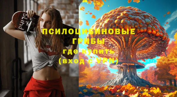 прущие грибы Абинск